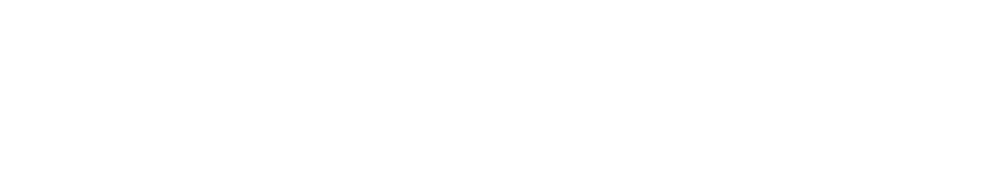 DEMO ONE